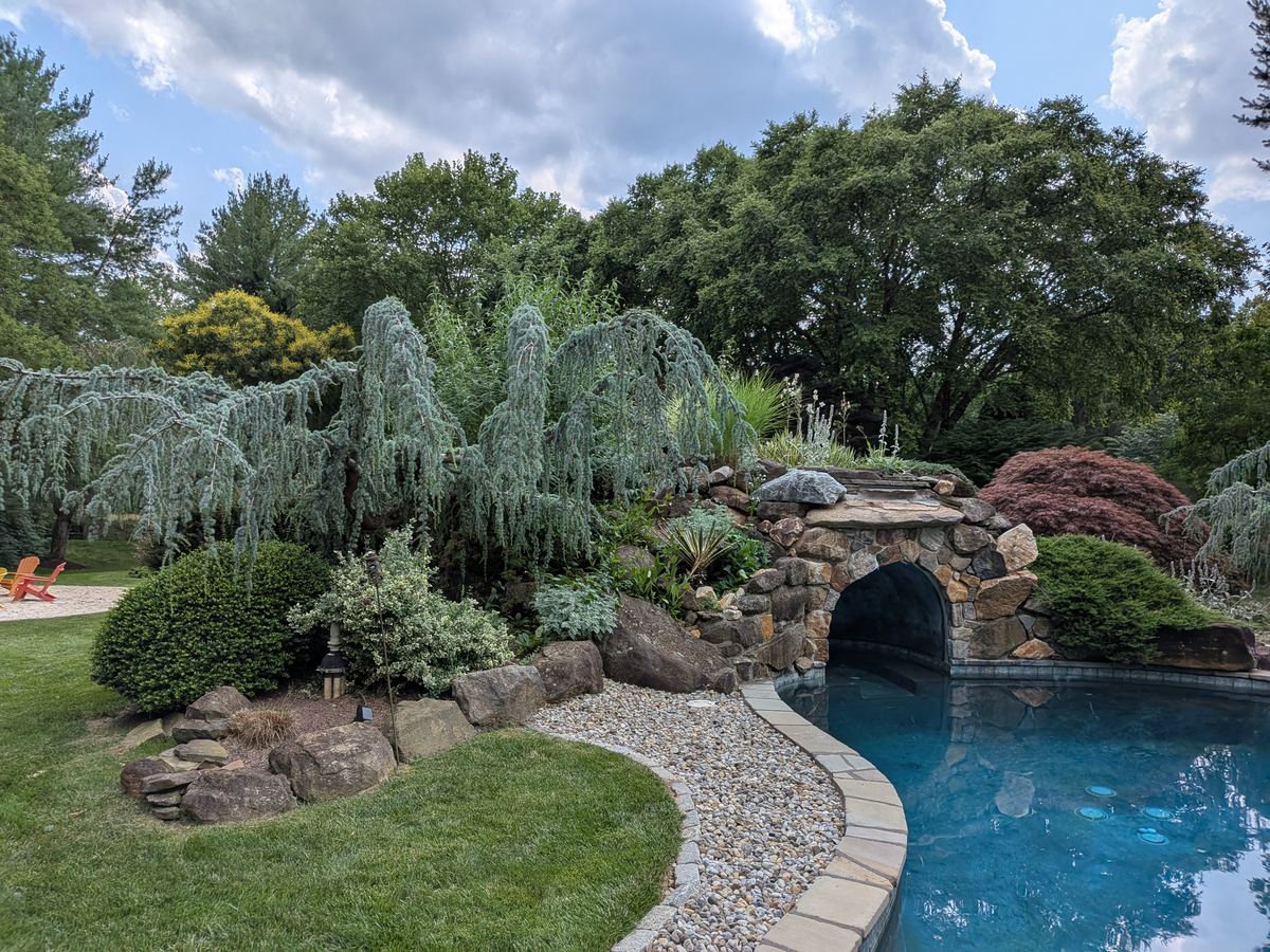 Poolside garden with layered plantings